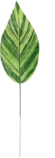 Set van 12 kunstmatige groene takjes 48 × 12 cm