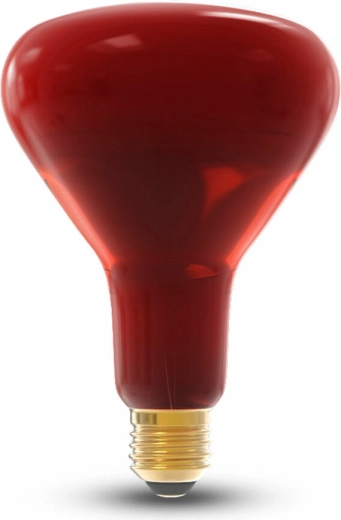 Modee Technic infrarode lamp E27 250 W dimbaar