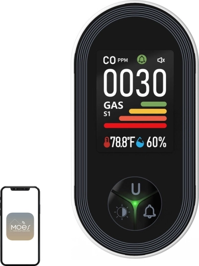 Moes detector voor koolmonoxide en brandbare gassen met kleurendisplay (S02-CG)