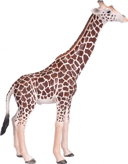 mojo figuur giraffe – mannetje, extra groot