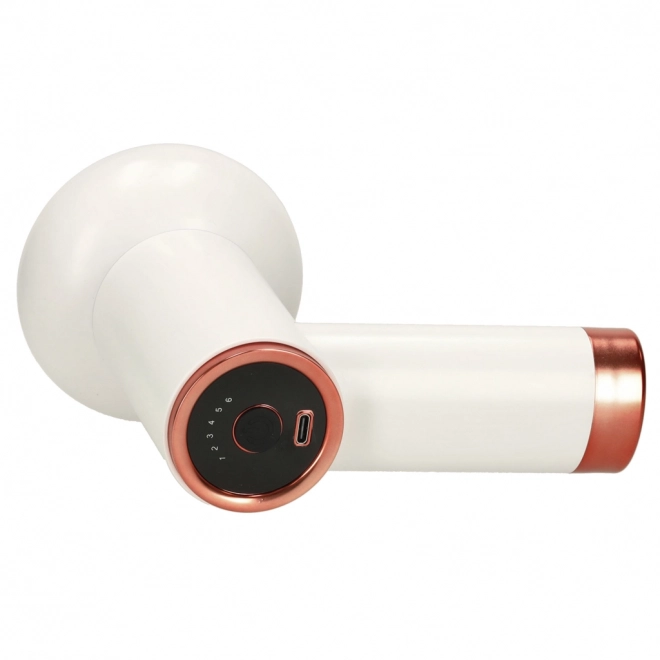 Massagepistool 5 in 1
