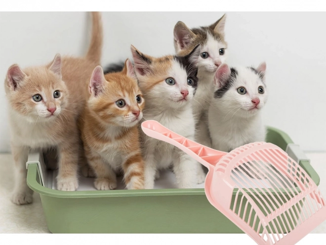 Grote kattenbakschep