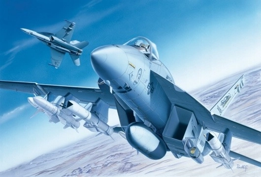 Plastic model F/A-18E Super Hornet