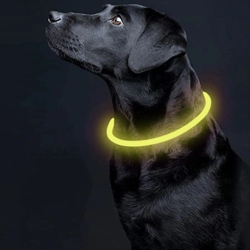 LED-verlichte halsband voor honden en katten
