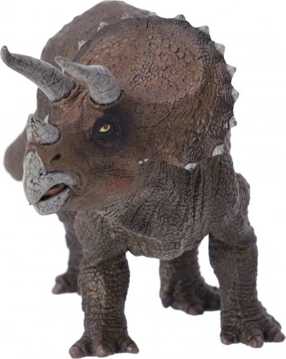 Perfect voor alle leeftijden