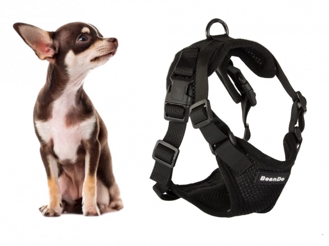 Drukloos harnas voor wandelen met kleine honden