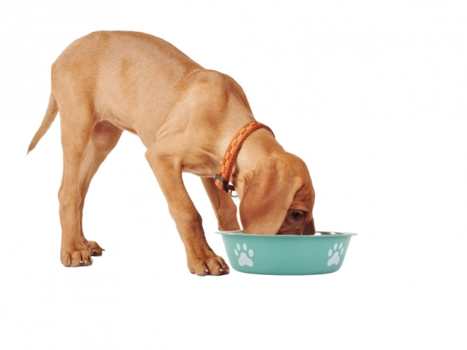 Grote metalen waterbak voor honden en katten