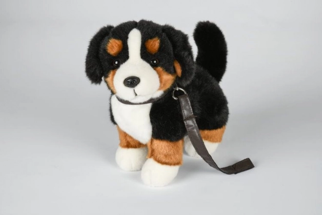 Pluche Berner Sennenhond met leiband 26 cm
