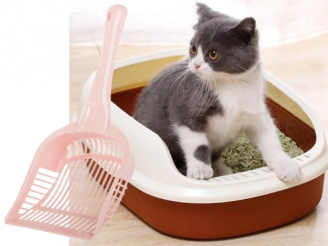 Grote kattenbakschep
