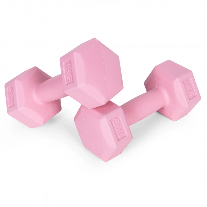 Roze halters 2x1 kg ModernHome