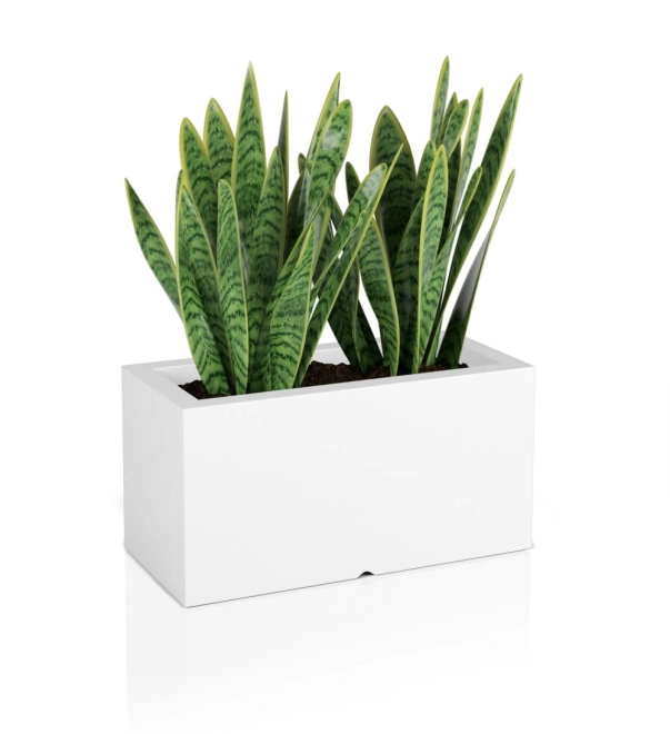 Klassieke vorm en modern design