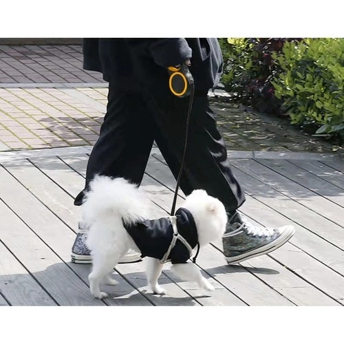 Automatische hondenriem 8m/50kg