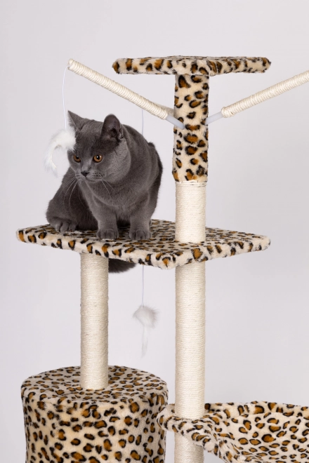 Kattenkrabpaal, huisje, boom, ligplaats, 138cm xl, Panther