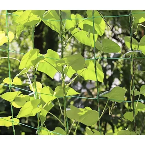 Net - steun voor planten 2x10m Gardlov 23978
