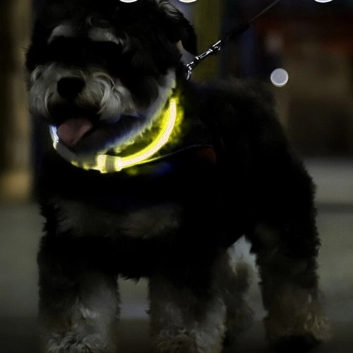 LED-verlichte halsband voor honden en katten