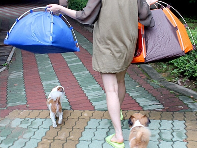 Waterdichte opvouwbare tent voor honden
