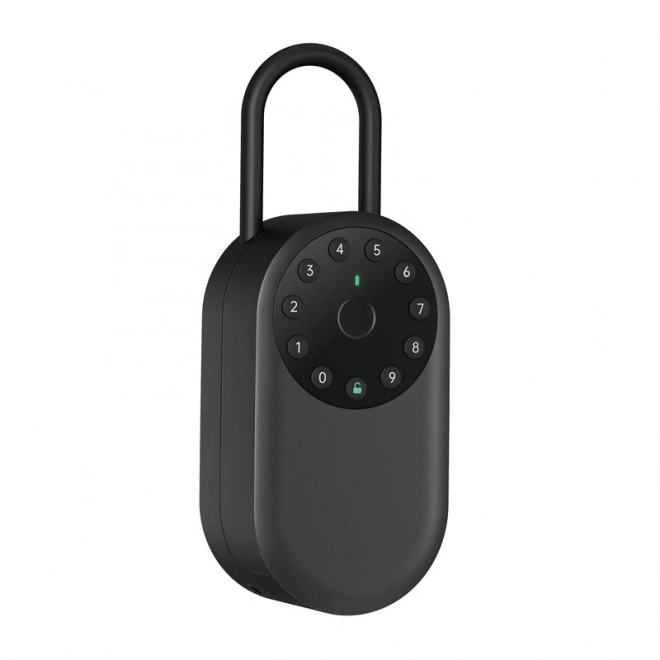 Slimme kluis met vingerafdrukscanner Lockin YEEUU