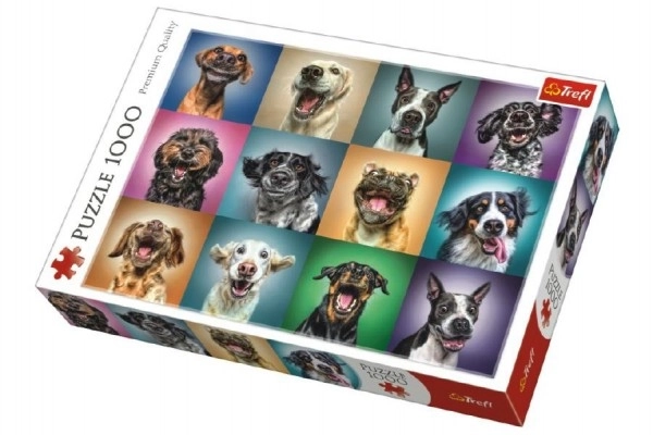 Puzzel Grappige hondenportretten – 1000 stukjes