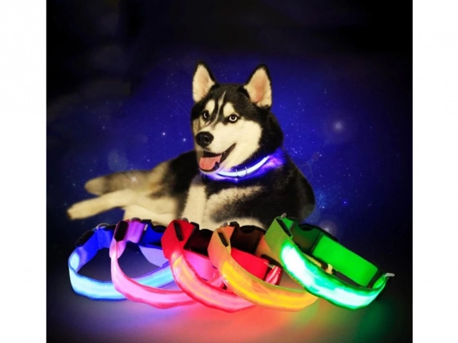 Led lichtgevende halsband voor huisdieren