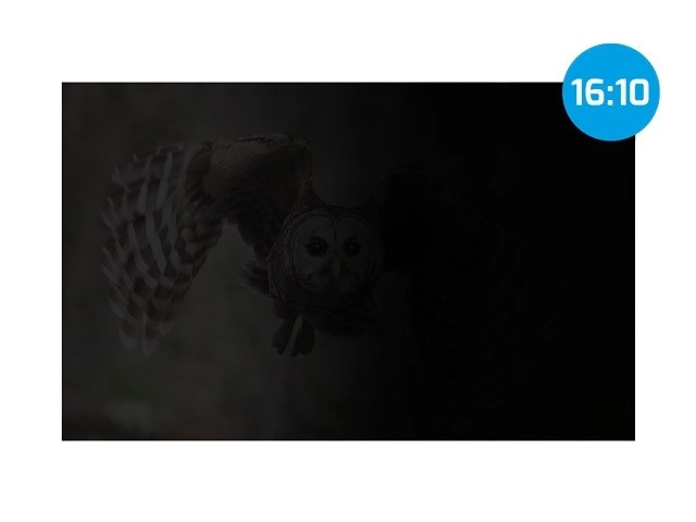 Privacyfilter Natec Owl 16 inch 16:10