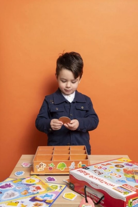 MONTESSORI BABYDOOS - Kleuren