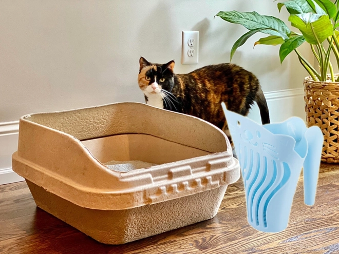 Schep voor kattengrit met ergonomisch handvat