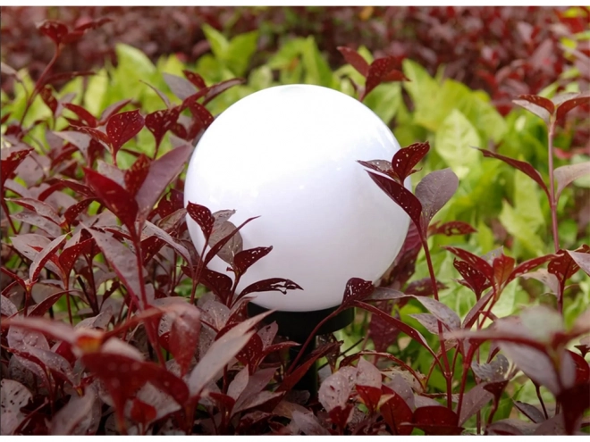 Zonne tuinlampen witte bollen met LED-verlichting