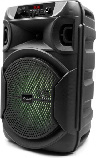 Bluetooth-luidspreker Squeak PulseTower met karaoke, 1000 W