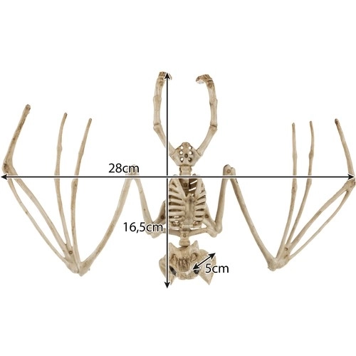 Vleermuis skelet - decoratie 30 cm Malatec