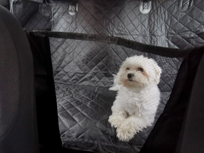 Gaaswand voor contact en luchtstroom