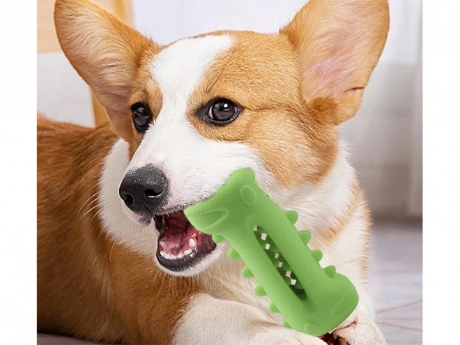 Kauwspeeltje voor het reinigen van tanden voor honden