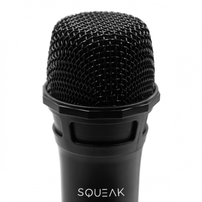 Set karaoke-microfoons VocalDuo met 30m bereik