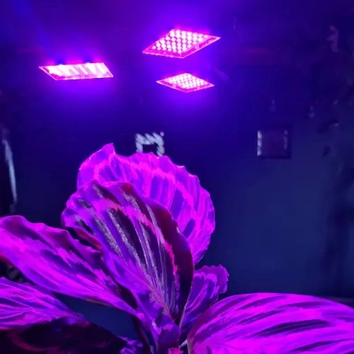 Lamp 108 LED voor plantengroei Gardlov 20440