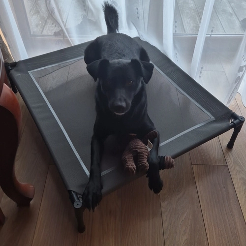 Overkapte hondenbed XXL Purlov