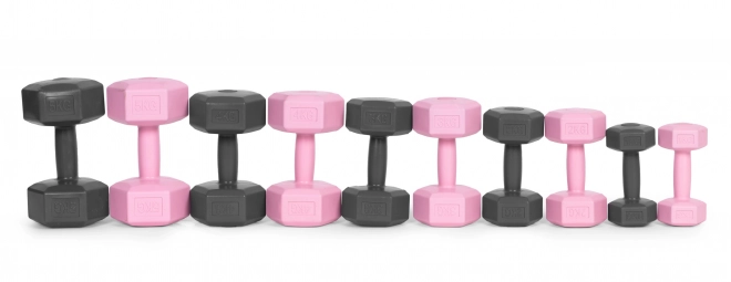 Hexagonale halters ModernHome 2x2 kg grijs