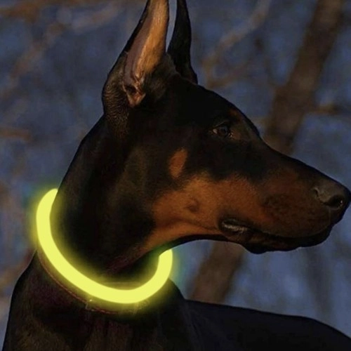 LED-verlichte halsband voor honden en katten