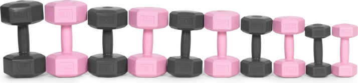 Roze halters 2x1 kg ModernHome