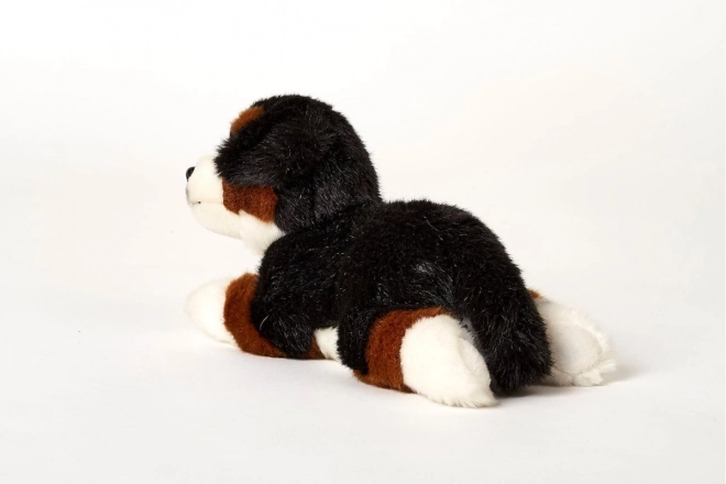 Pluche Berner Sennenhond 25 cm