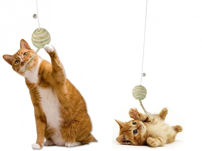 Kattenspeeltje vissershengel met rammelbal