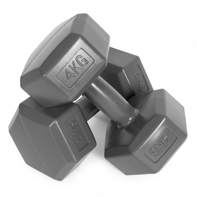 Hexagonale halters 2x4 kg grijs ModernHome