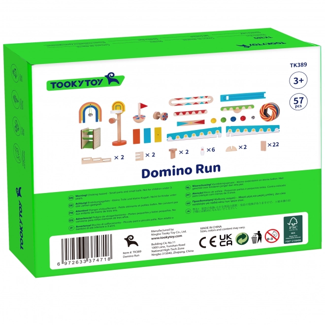 Houten bouwblokken domino / domino puzzel Tooky Toy