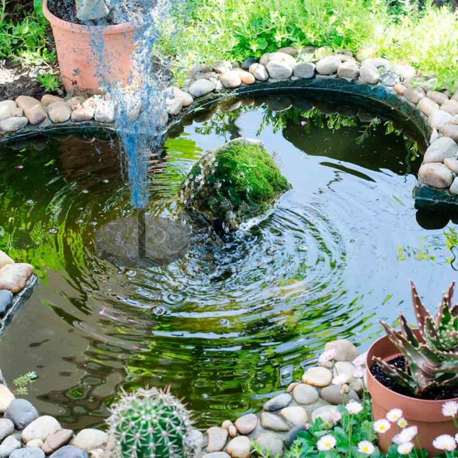 Zonnige tuin drijvende fontein
