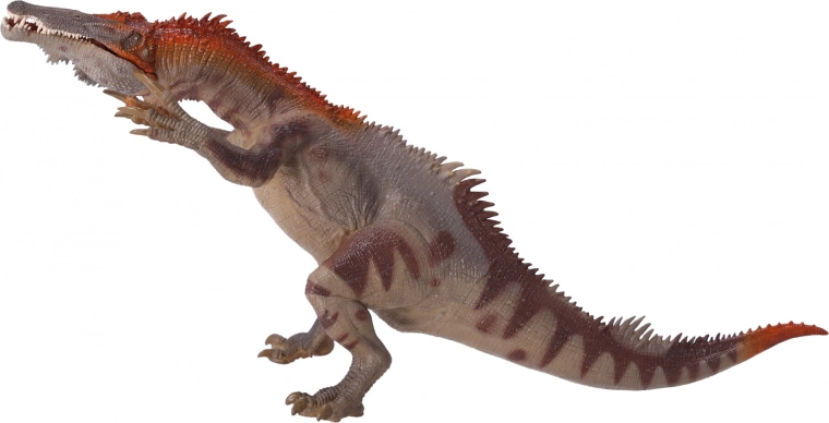 Geschikt voor verzamelaars