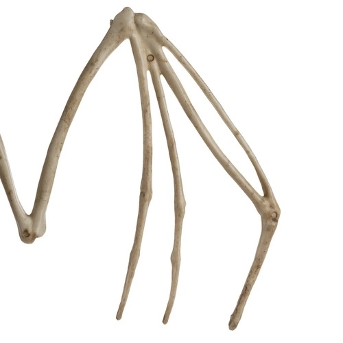 Vleermuis skelet - decoratie 30 cm Malatec