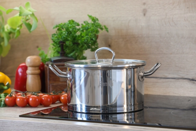 Roestvrijstalen pan met deksel Berretti Gemini 24 cm