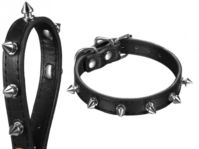 Stijlvolle hondenhalsband met studs