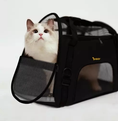 Transporter - tas voor hond/kat