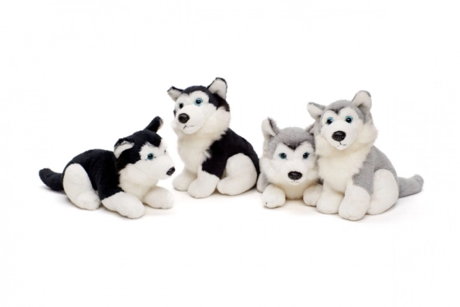 Pluchen husky 15 cm