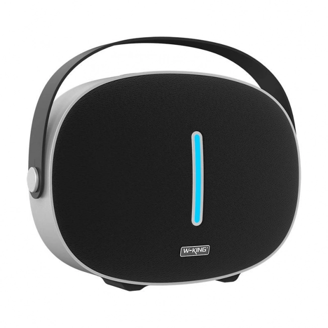Draadloze Bluetooth-luidspreker W-KING T8 30W (zwart)