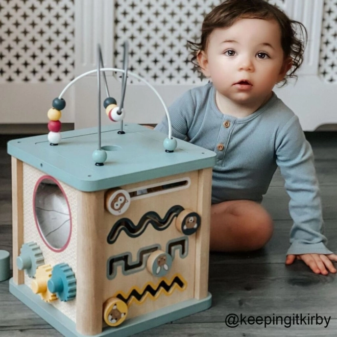 Bigjigs Baby Motorische Kubus
